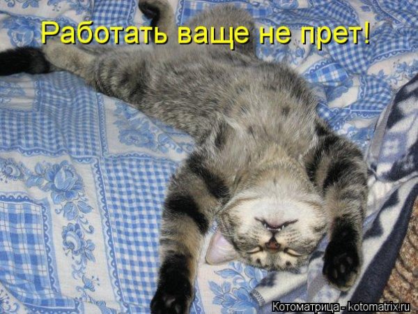 Суббота работать не охота