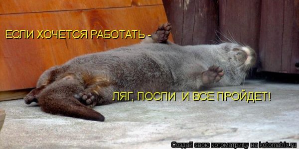 Отдыхать не работать
