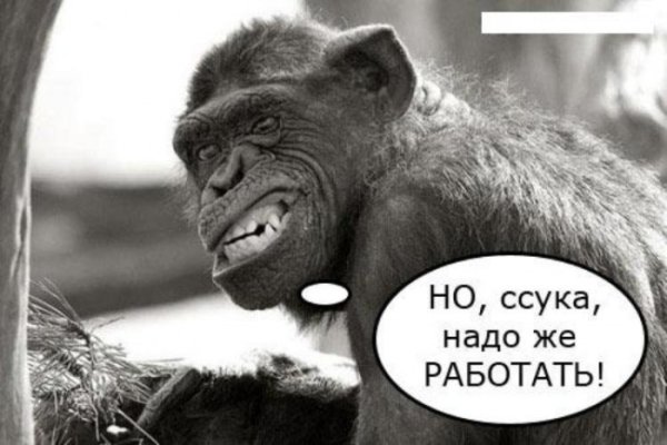 Рабочая суббота фото