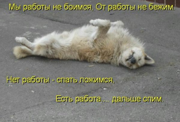 Спанч Боб рыдает