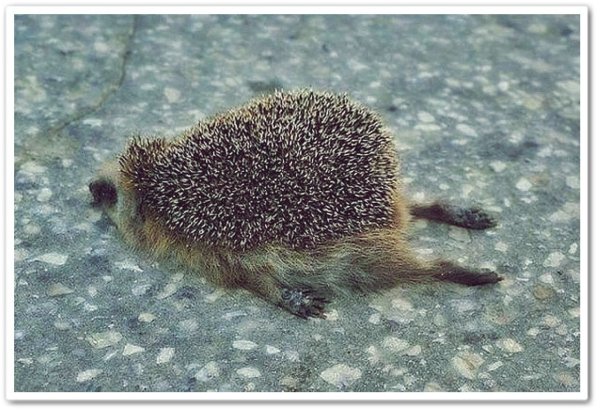 Работа работа перейди на Федота