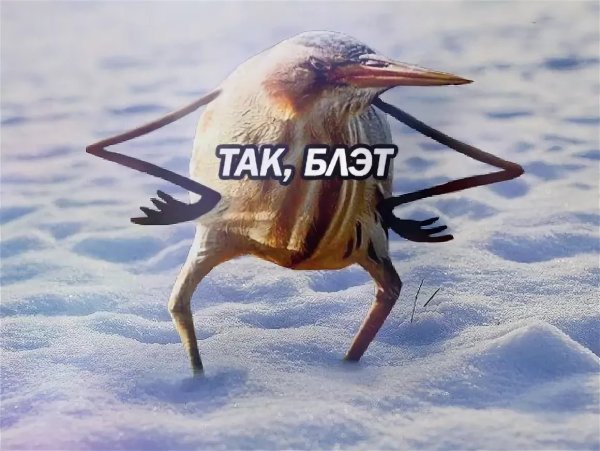 Шутки про усталость