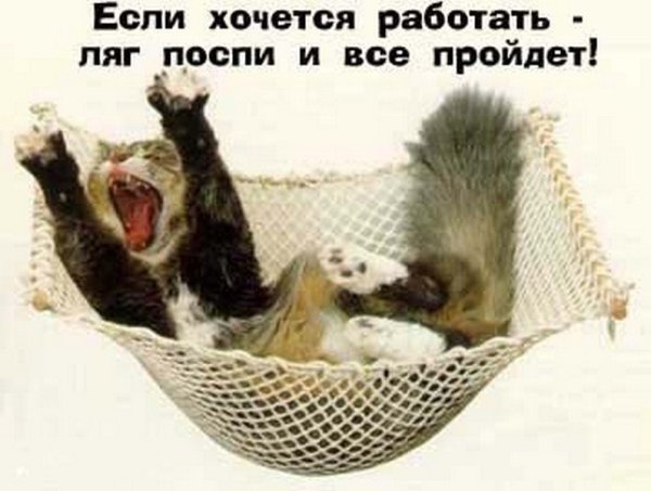 Хочу в отпуск прикол