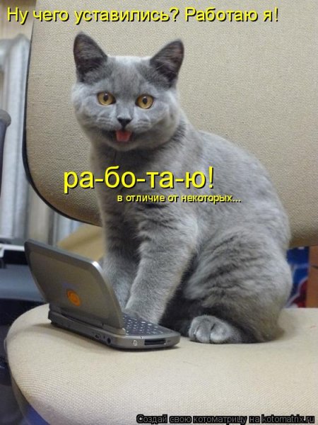 Рабочая суббота юмор