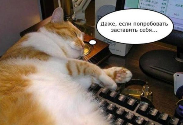 Высказывания про отпуск