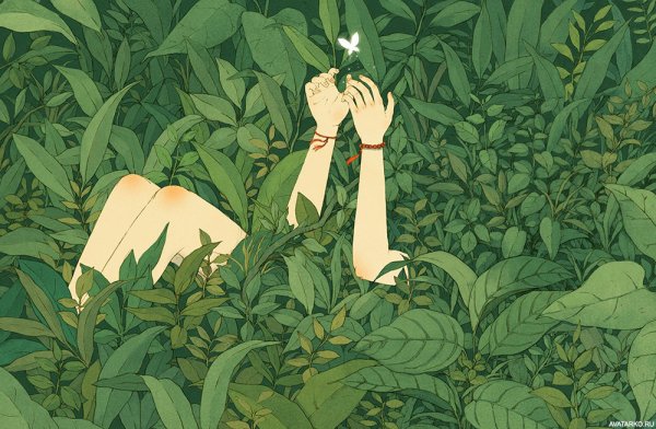 Зелёный чай Эстетика аниме