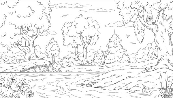 Лес и речка раскраска