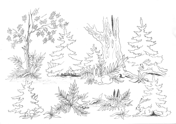 Рисование для детей лес