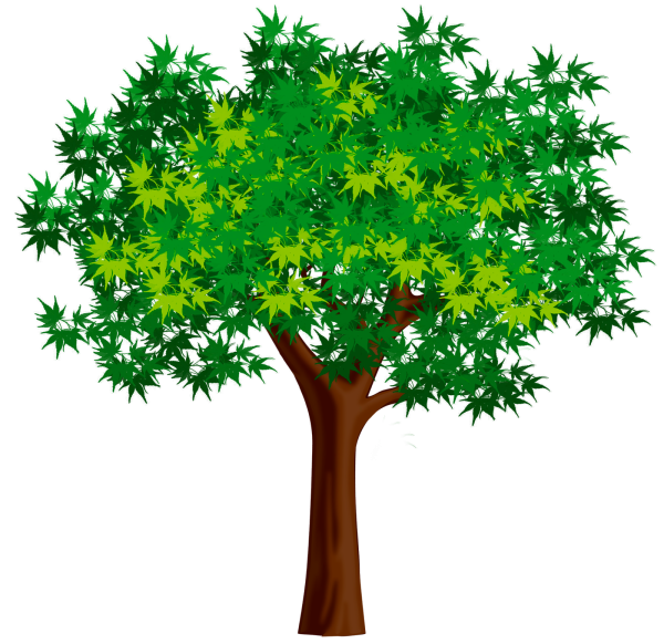 Дерево клипарт
