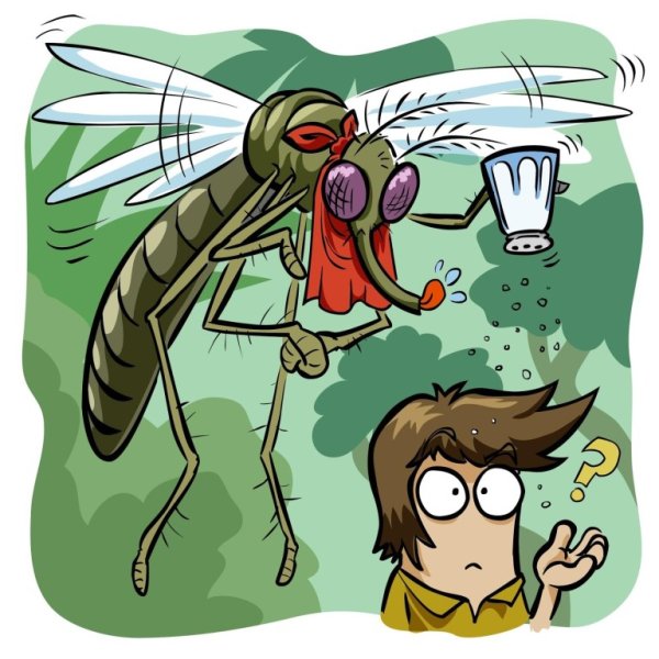 Прикольный комар