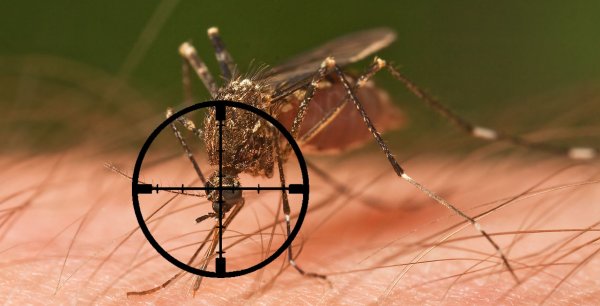 Отмахивается от комаров