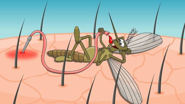 Муха Цокотуха мультфильм комар