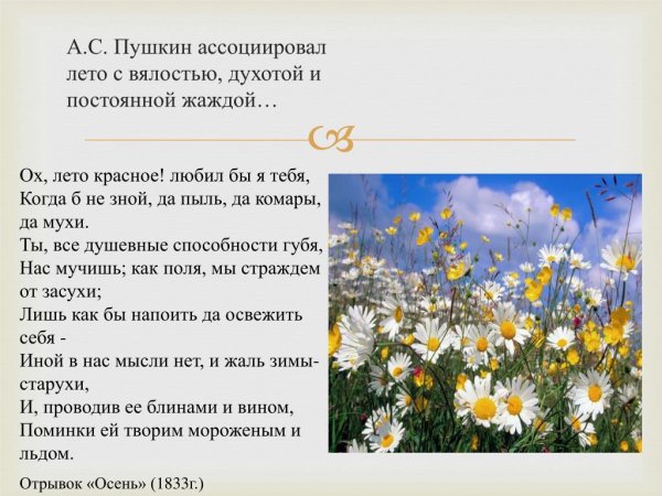 Стихи Пушкина о лете