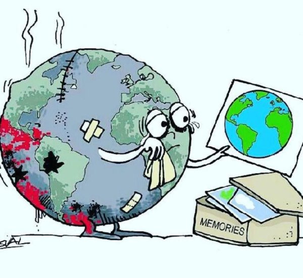 Экологические проблемы