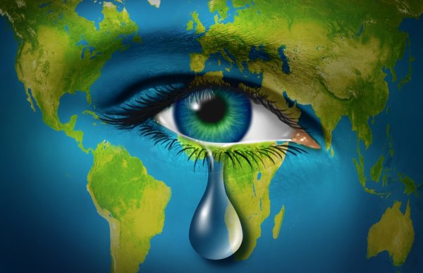 Живая Планета земля