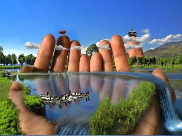 Человечество и природа