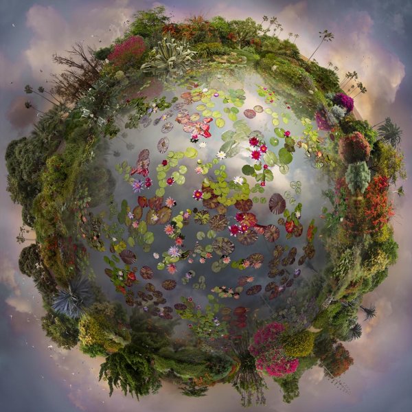 Планета с цветами