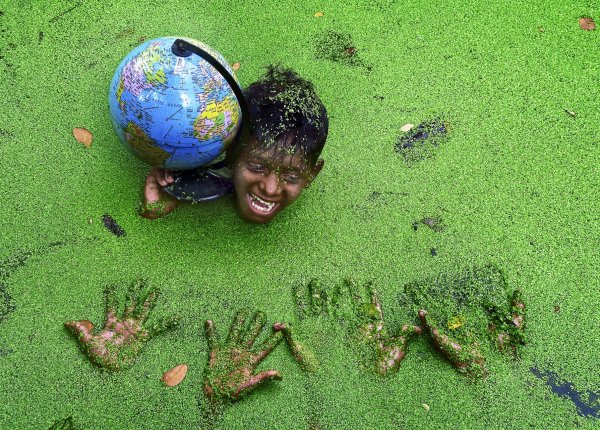 Экология в мире