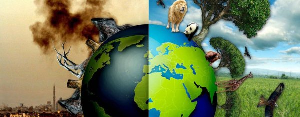 Спасение окружающей среды