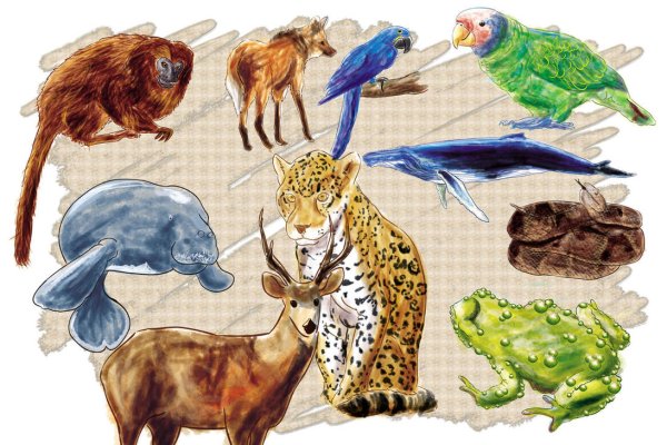 Животные мира для детей