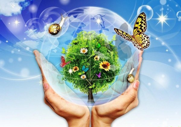 Берегите природу