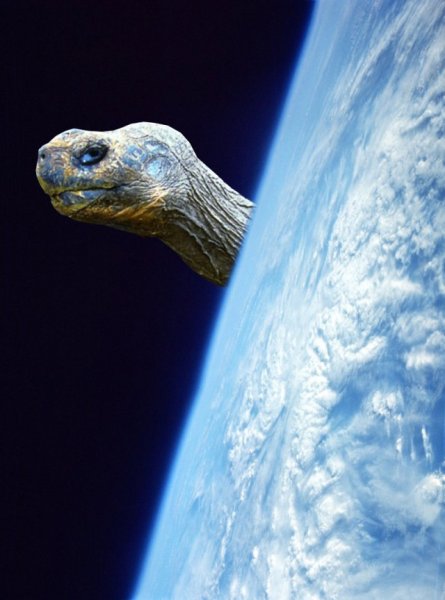 Земля из космоса плоская