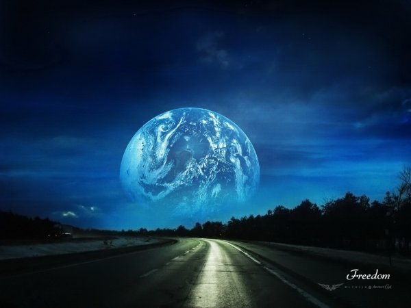 Ночь Луна дорога