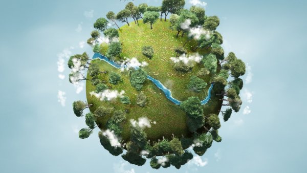 Леса легкие планеты