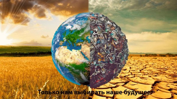 Экологические проблемы