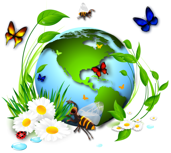 Экология для малышей