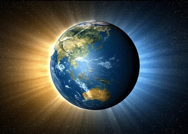 Планта земля