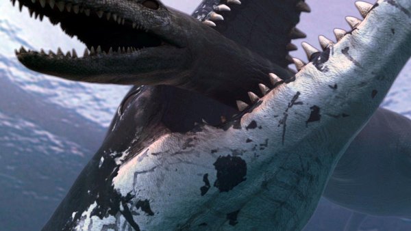 Акула Лиоплевродон