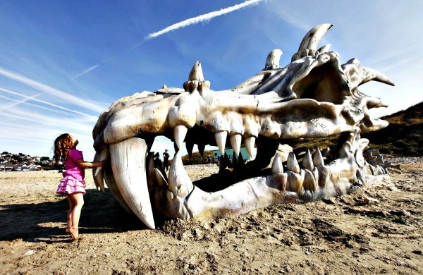 Череп дракона на пляже игра престолов