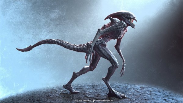 Диакон Ксеноморф Deacon Xenomorph