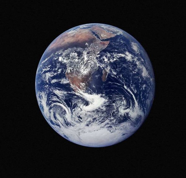 Планта земля