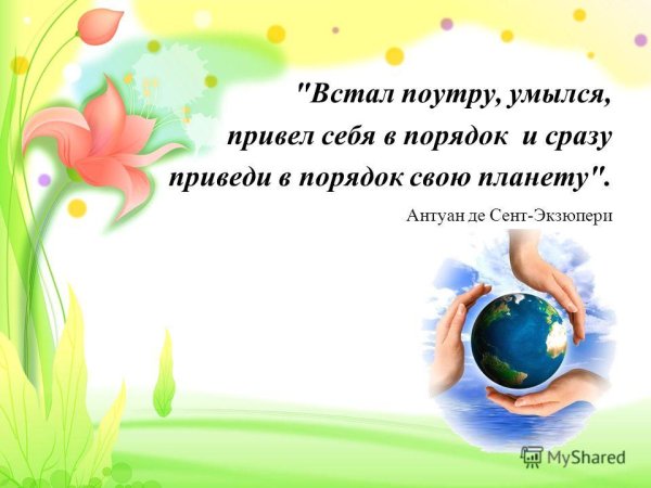 Приведем планету в порядок