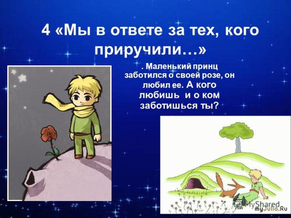 Мы в ответе за тех кого приручили маленький принц