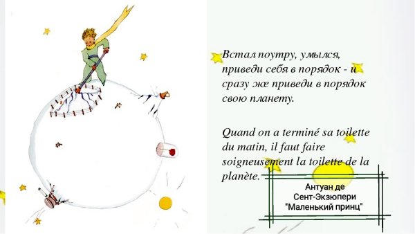 Маленький принц приведи в порядок свою планету