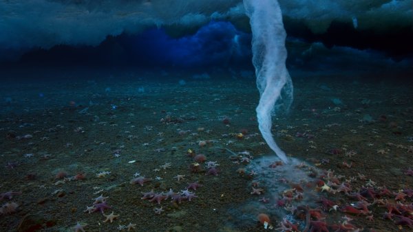 Брайникл природное явление