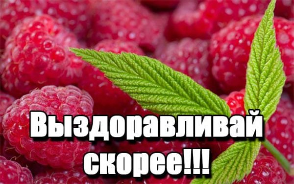 Выздоравливай скорее