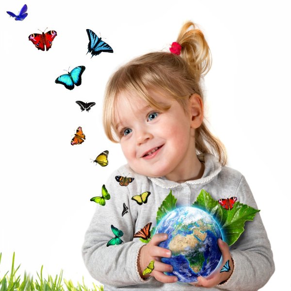 Бабочка на земле