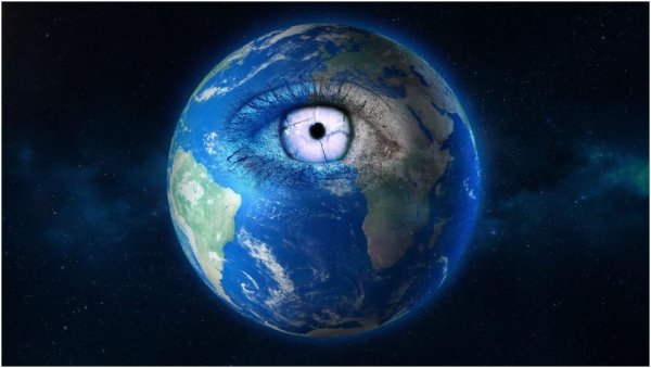 Живые организмы на земле