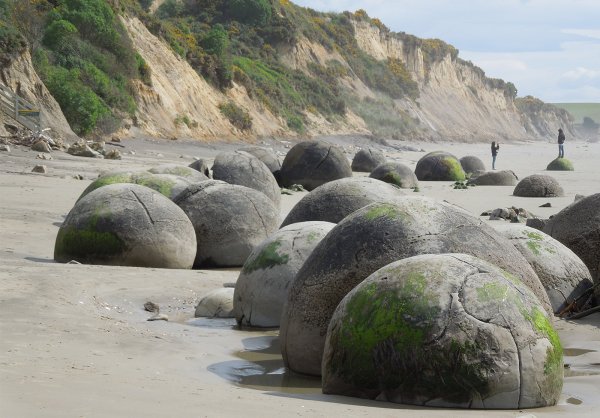 Каменные шары Моераки в новой Зеландии