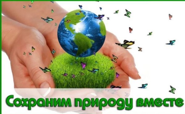 Спасем природу вместе