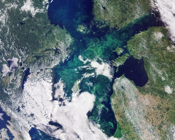 Атлантический океан снимок из космоса