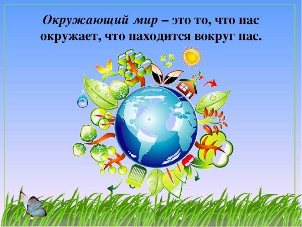 Окружающий мир