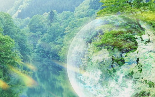 Экологический фон