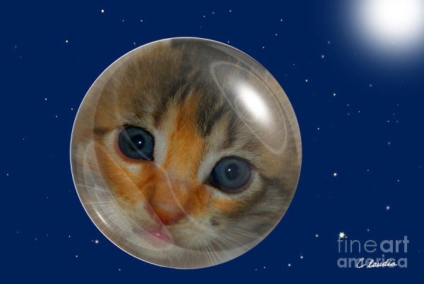 Кот Планета