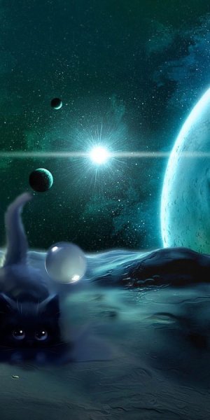 Планета котов