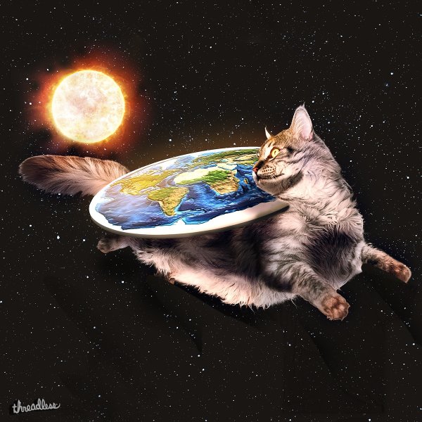 Кот и Глобус